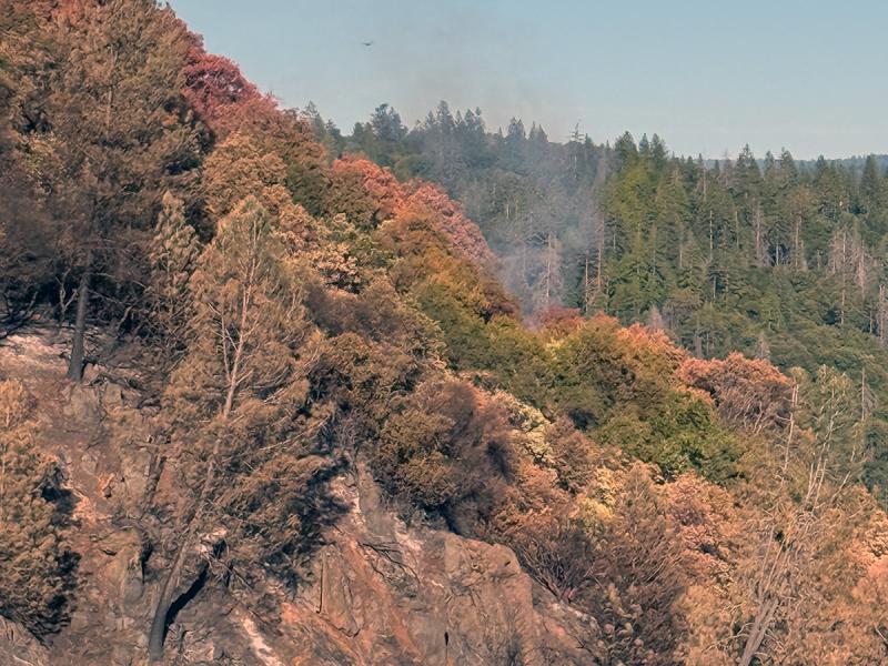 Wildfire smoke rising between two ridges.