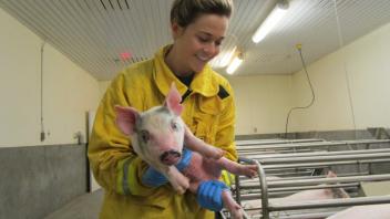 Learning how to handle a variety of animals included time with some pretty adorable piglets.