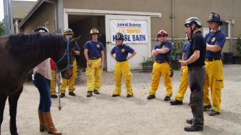 UC Davis Firefighters receive an overview of safe horse handling.
