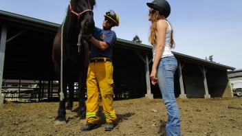 We were fortunate to have a world-class team from Vet Med and Animal Sciences to help us learn the ropes of working with horses.