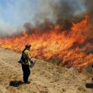 Firefighters participating in wildland fire training