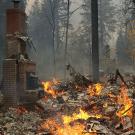 UC Davis Firefighters Gather Donations For Camp Fire Victims